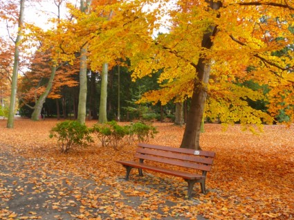 Parque Jardín de otoño