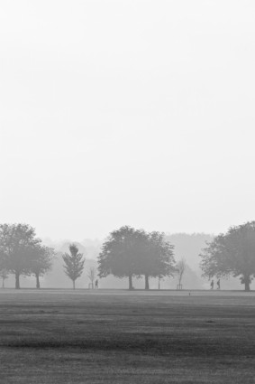 parco nella nebbia