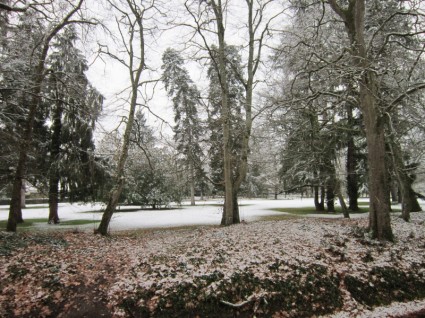 Парк в зимний период