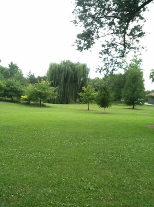 Park Landschaft