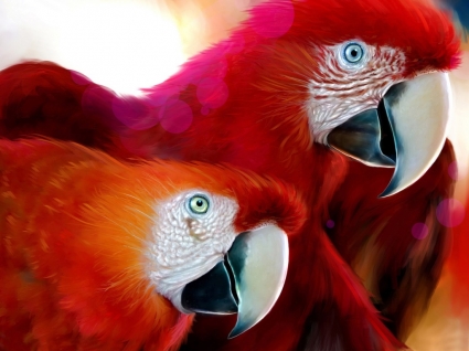 parrots วาดพื้น parrots สัตว์