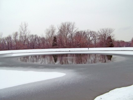 部分的に凍った池