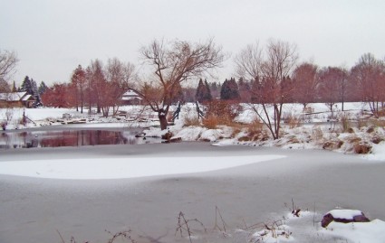 부분적으로 얼어붙은 연못