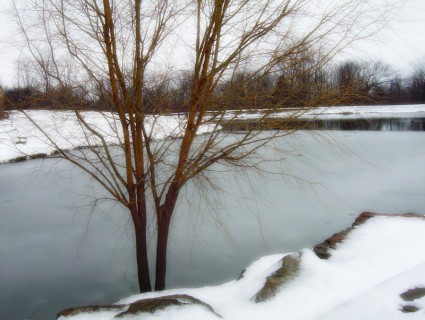 부분적으로 얼어붙은 연못