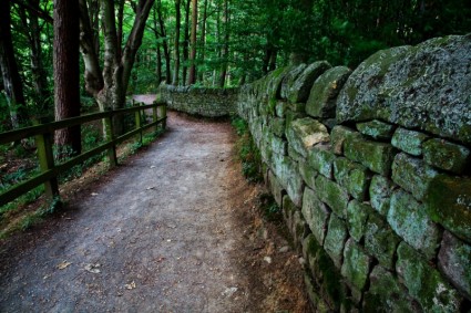 chemin d'accès en bois