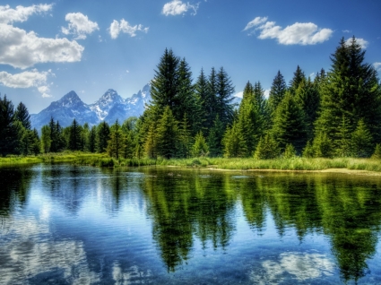 Peaceful Lake Wallpaper Landscape Nature