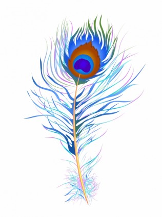 aquarela de penas de pavão