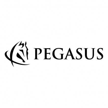 Pegasus komunikasi