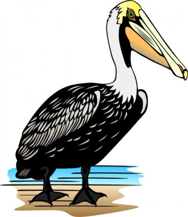 Pelican clip-art
