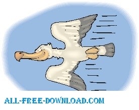 Pelican volando