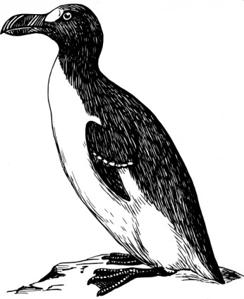 ClipArt pinguino