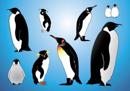 Пингвины векторов