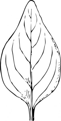 대 수리 잎 클립 아트