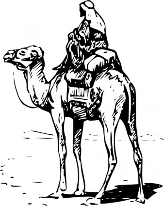 ClipArt cammello persona equitazione