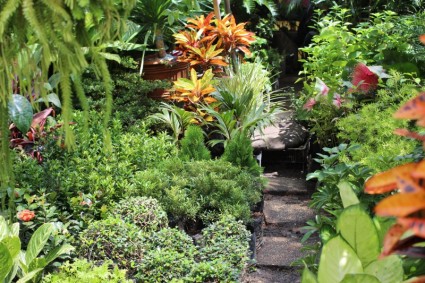 filipińskie ogród