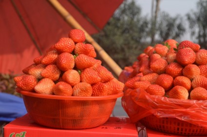 Haufen von Erdbeeren