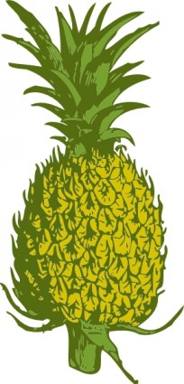 ananas clipartów