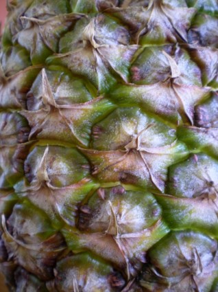 peau de l'ananas