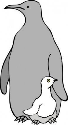 pinguino col piccolo küçük resim