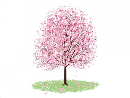 Pink cherry blossom pohon