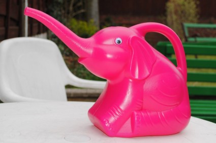 regadera de elefante rosa