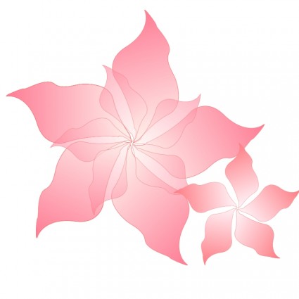 Pink bunga