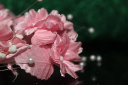 flor-de-rosa