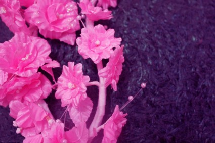 粉紅色的花