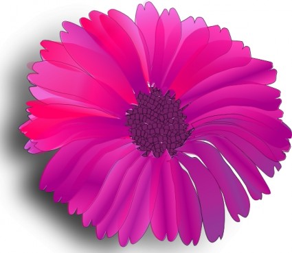 粉紅色的花卉剪貼畫