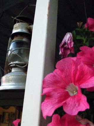 โคมไฟดอกไม้สีชมพู