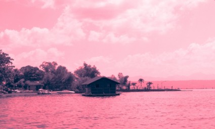 sfondo sfondo rosa
