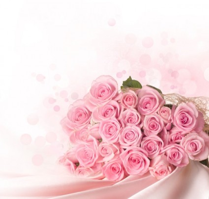 ピンクのバラの hd 画像