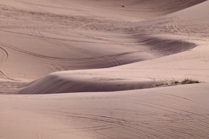 Pink Sand Dunes Utah Usa