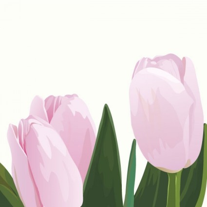 вектор розовых тюльпанов