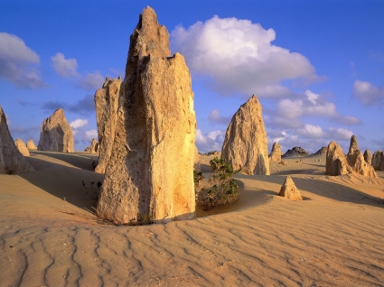 Pinnacles gurun wallpaper australia dunia