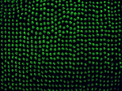 superfície de pixels verde