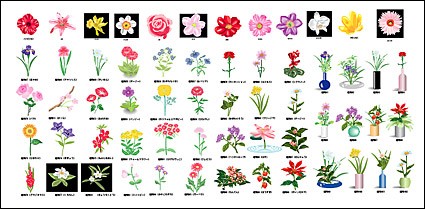 植物花要素ベクトル材料