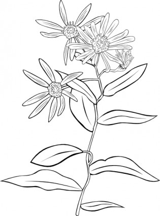 thực vật Hoa cây bụi clip nghệ thuật