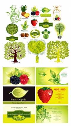 식물 과일 테마 벡터