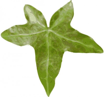 식물 잎 클립 아트