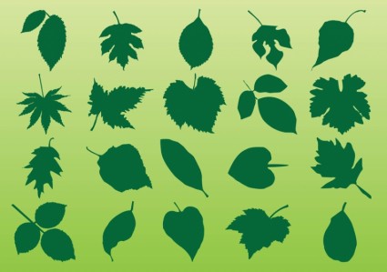 葉の植物のベクトル