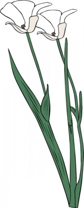 planta arbusto flores contorno clip art