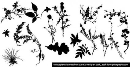 vecteur de silhouettes de plantes