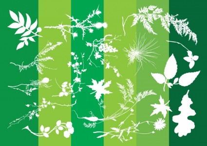 Pflanzen-Silhouetten-Natur-Grafiken