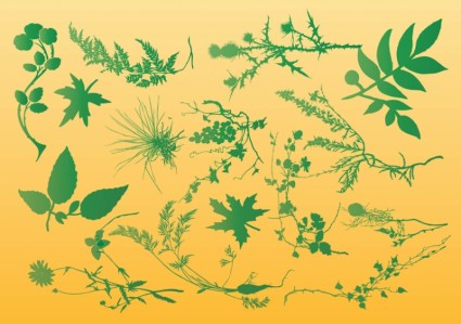 식물 벡터 그래픽