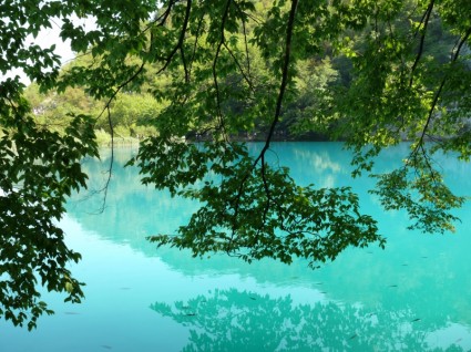l'acqua blu di laghi di Plitvice Croazia