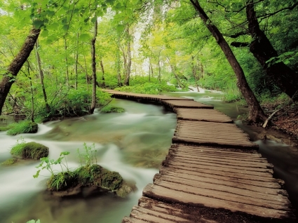 park narodowy Plitvice tapeta Chorwacja świata