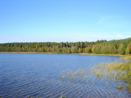 폴란드 호수 물