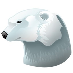 beruang kutub