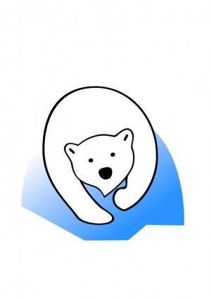 الدب القطبي